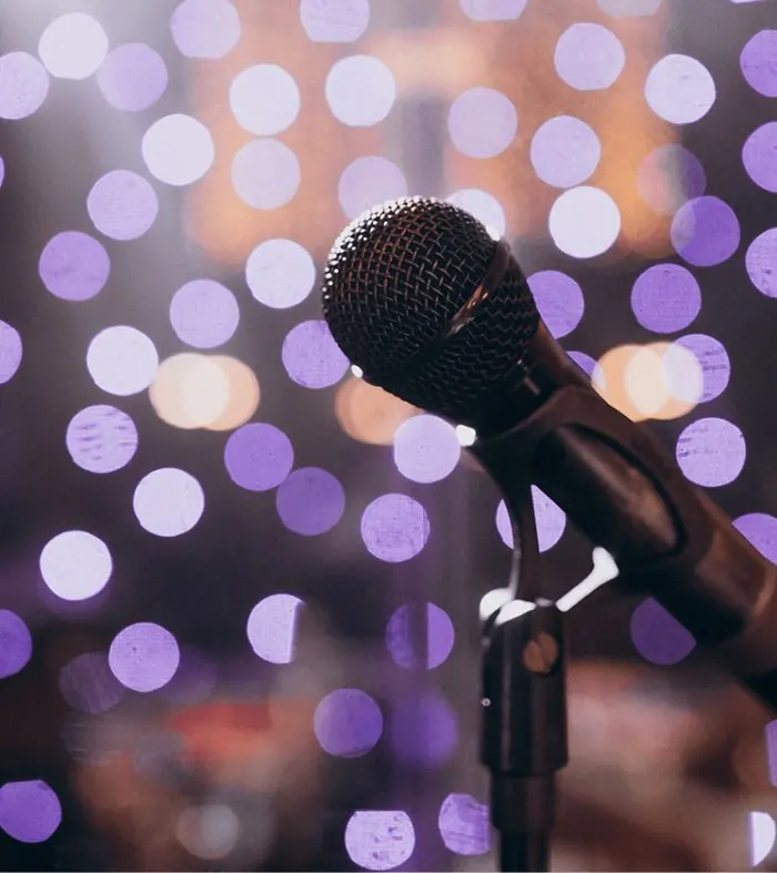 Adult karaoke